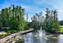 The Transformation of an Iconic Resort – Saddlebrook Resort