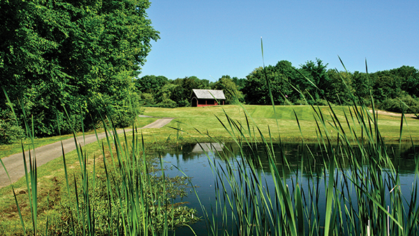 Elmridge_Pond